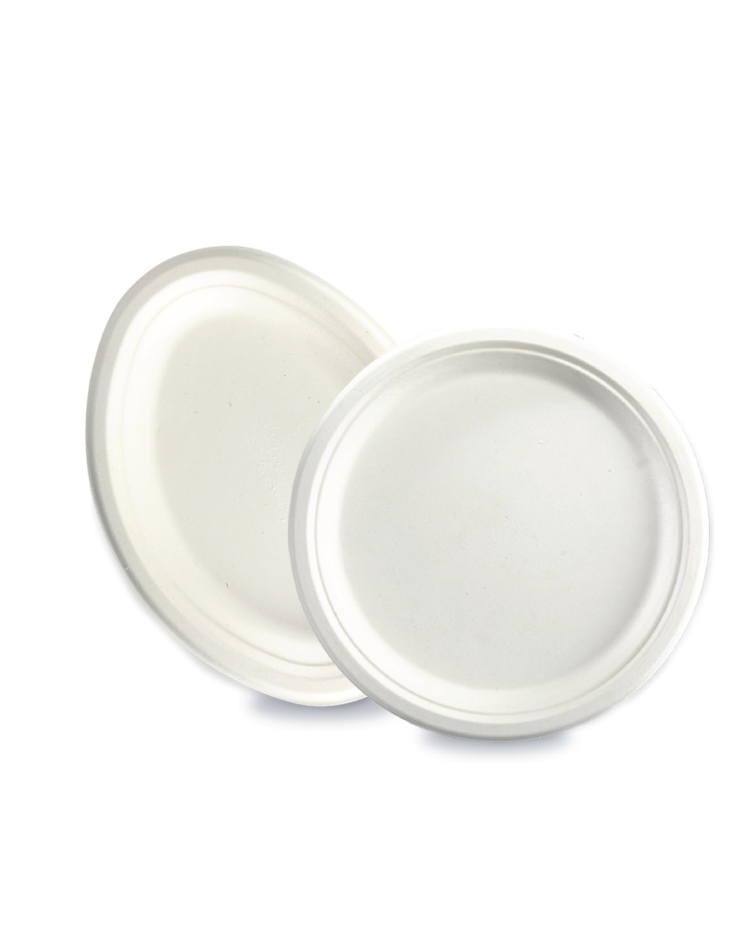 DISPOSABLE PLATES